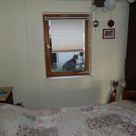 아파트 Ferienwohnung Pauly *